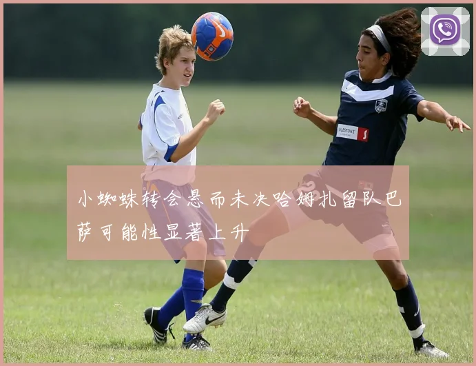 小蜘蛛转会悬而未决哈姆扎留队巴萨可能性显著上升